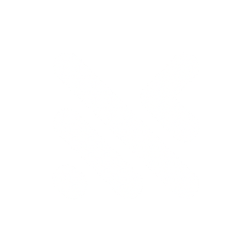 Nexa Labs Logo